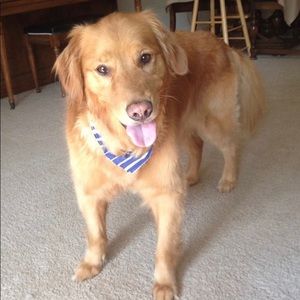 Meet your Posher, Delaney